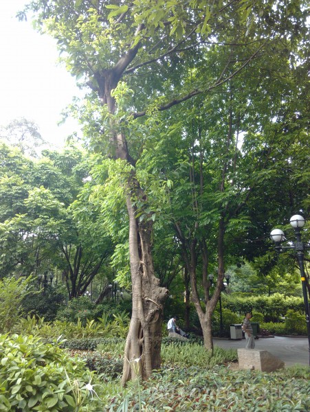 IMG_20130705_151836.jpg