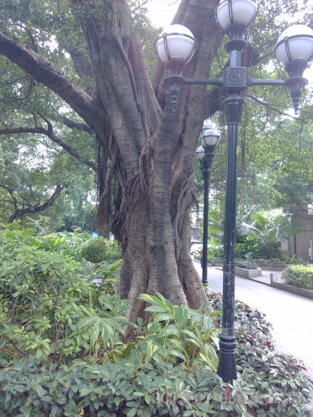 IMG_20130705_154211.jpg