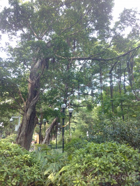IMG_20130705_154014.jpg