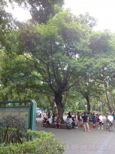 IMG_20130705_155228.jpg