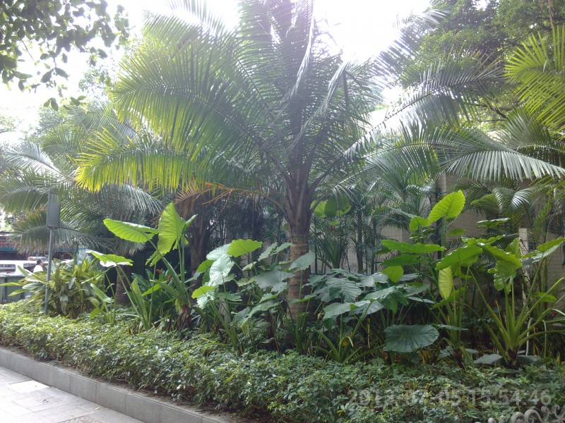 IMG_20130705_155446.jpg