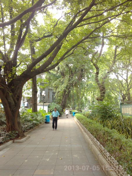 IMG_20130705_155726.jpg