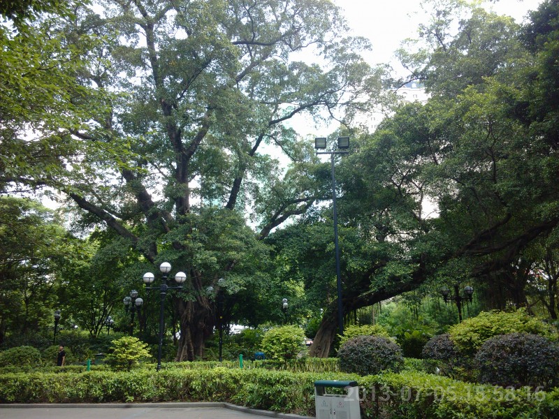 IMG_20130705_155816.jpg