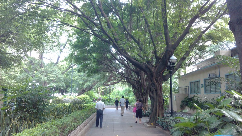 IMG_20130705_161018.jpg