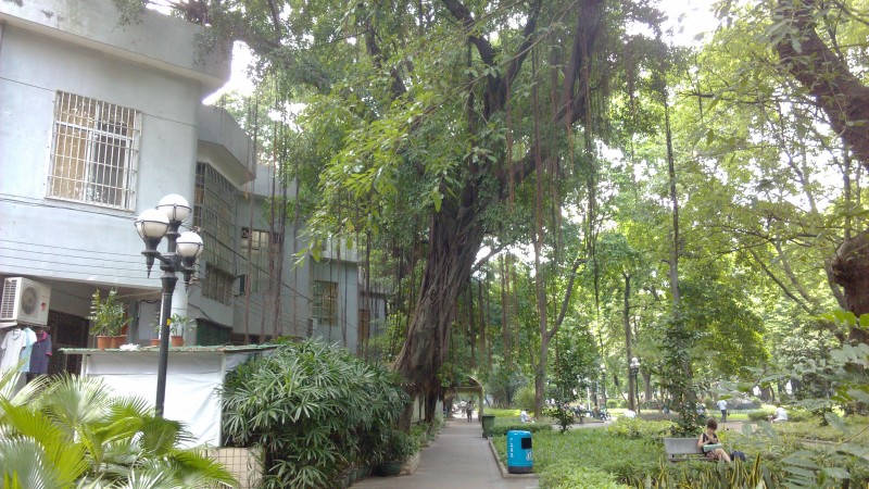 IMG_20130705_161335.jpg