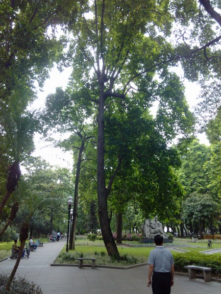 IMG_20130705_161909.jpg