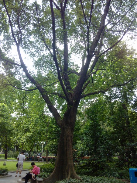 IMG_20130705_161925.jpg