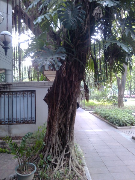 IMG_20130705_162312.jpg