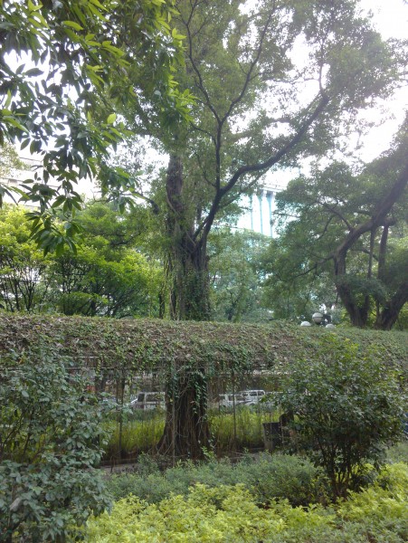 IMG_20130705_162529.jpg