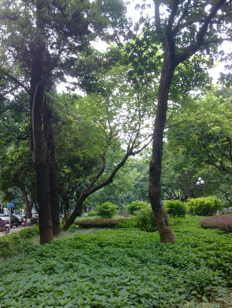 IMG_20130705_163123.jpg