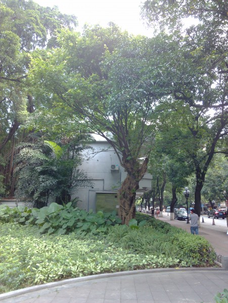 IMG_20130705_163353.jpg