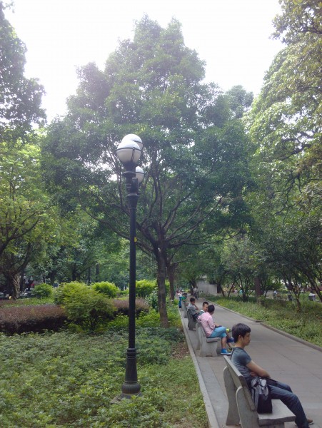 IMG_20130705_163457.jpg