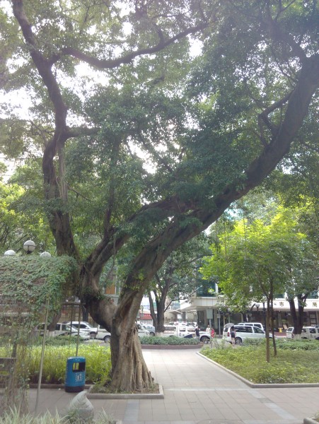 IMG_20130705_163539.jpg