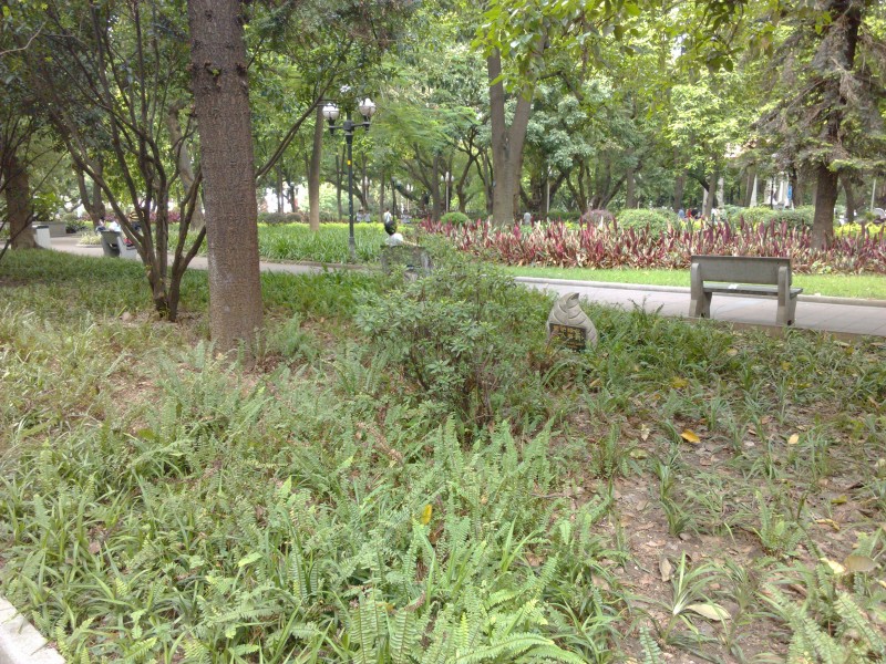 IMG_20130705_163725.jpg