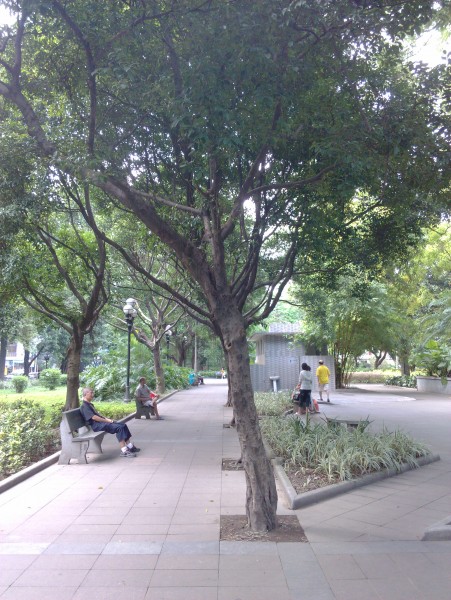 IMG_20130705_164305.jpg