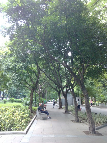 IMG_20130705_164323.jpg