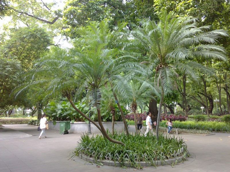 IMG_20130705_164500.jpg