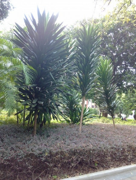 IMG_20130705_165023.jpg