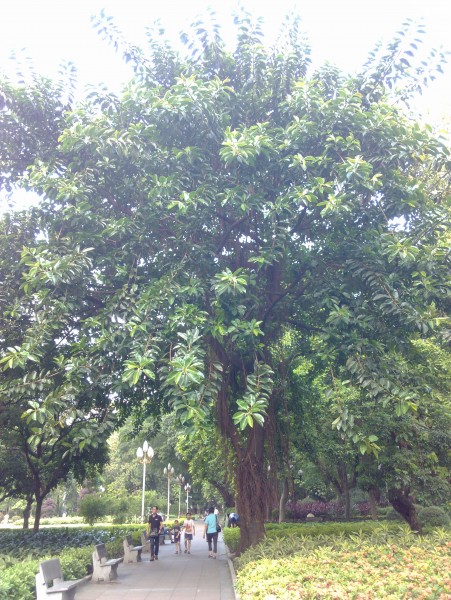 IMG_20130705_165520.jpg