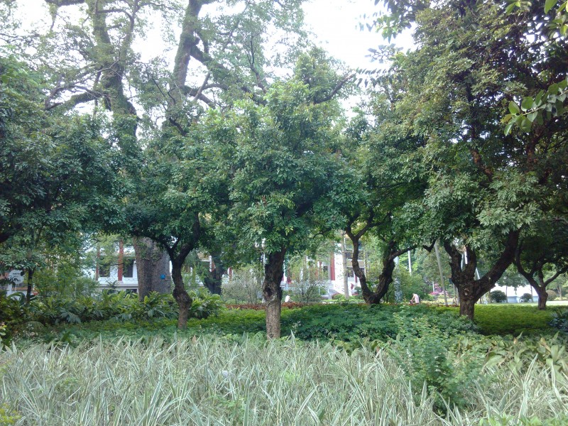IMG_20130705_165748.jpg