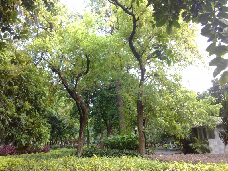IMG_20130705_165957.jpg