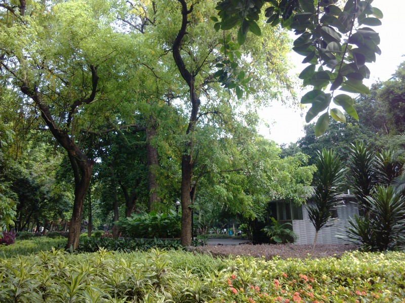 IMG_20130705_170011.jpg