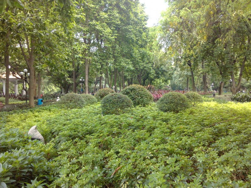 IMG_20130705_170122.jpg