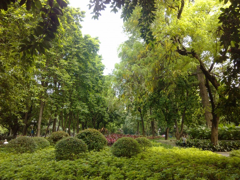 IMG_20130705_170206.jpg