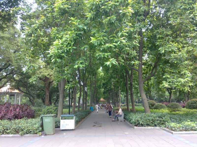 IMG_20130705_170313.jpg
