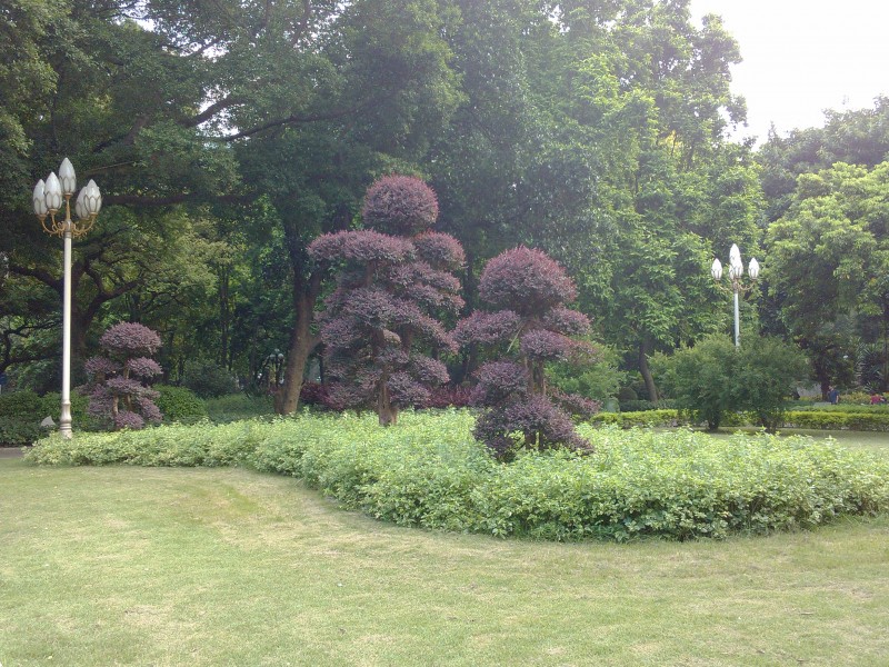 IMG_20130705_170959.jpg