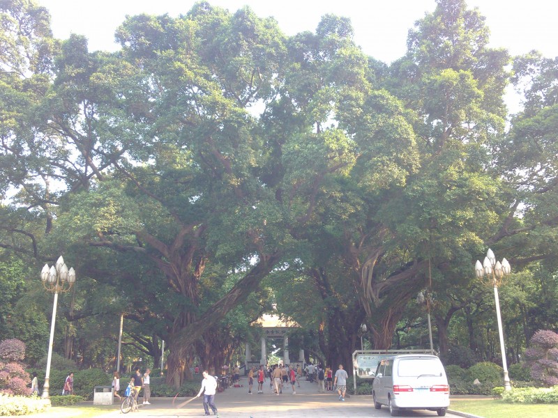 IMG_20130705_171134.jpg