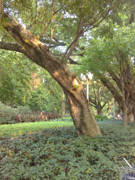 IMG_20130705_171219.jpg
