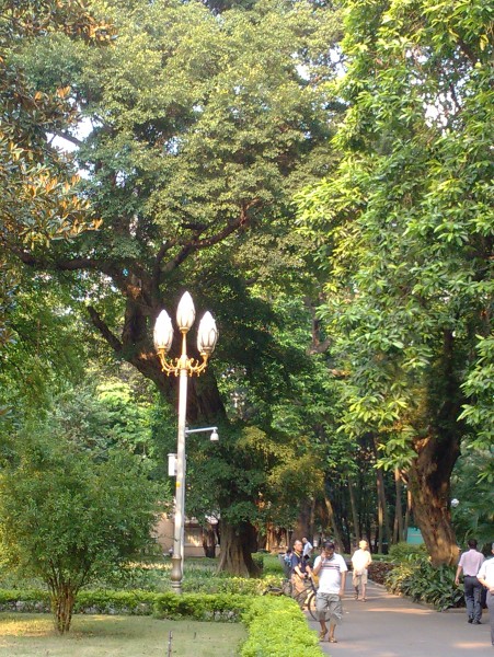 IMG_20130705_171232.jpg