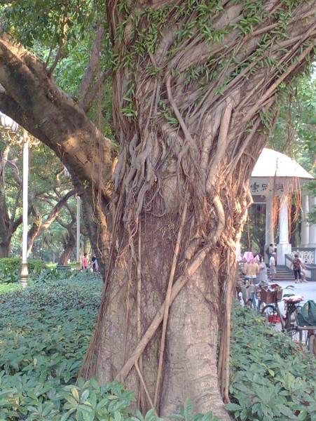 IMG_20130705_171238.jpg