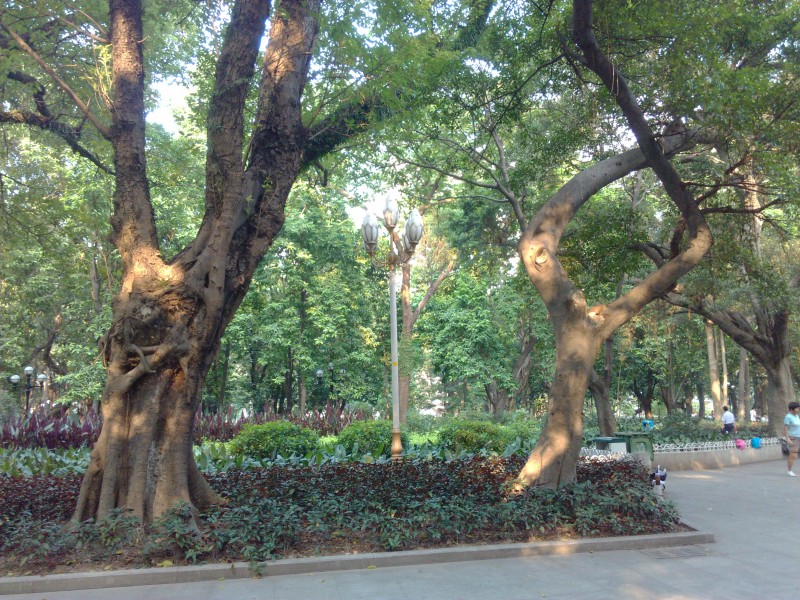 IMG_20130705_171709.jpg