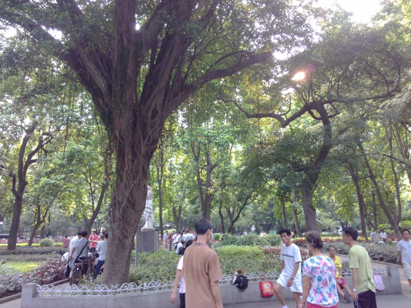 IMG_20130705_171904.jpg