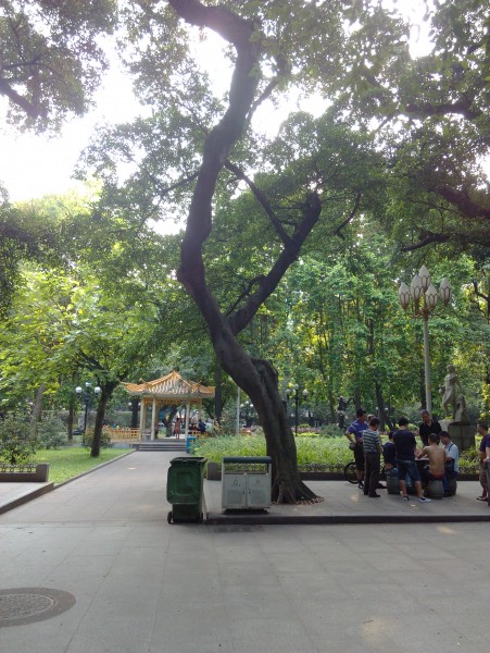 IMG_20130705_172030.jpg