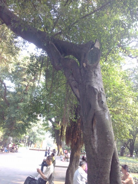 IMG_20130705_172100.jpg