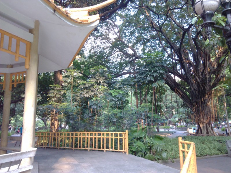 IMG_20130705_172328.jpg
