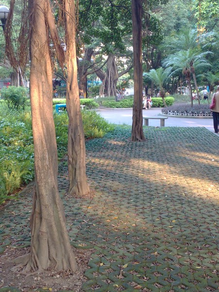IMG_20130705_172618.jpg