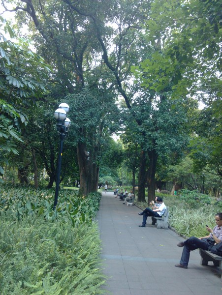 IMG_20130705_173020.jpg
