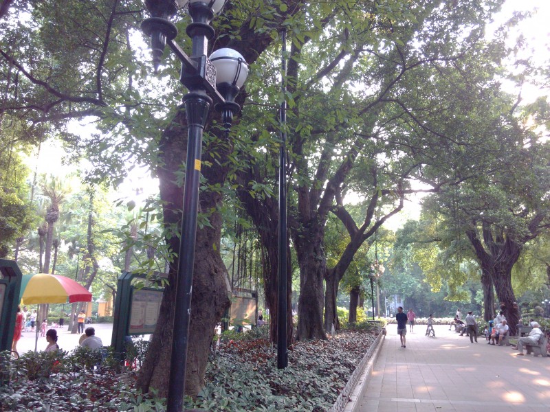 IMG_20130705_173418.jpg