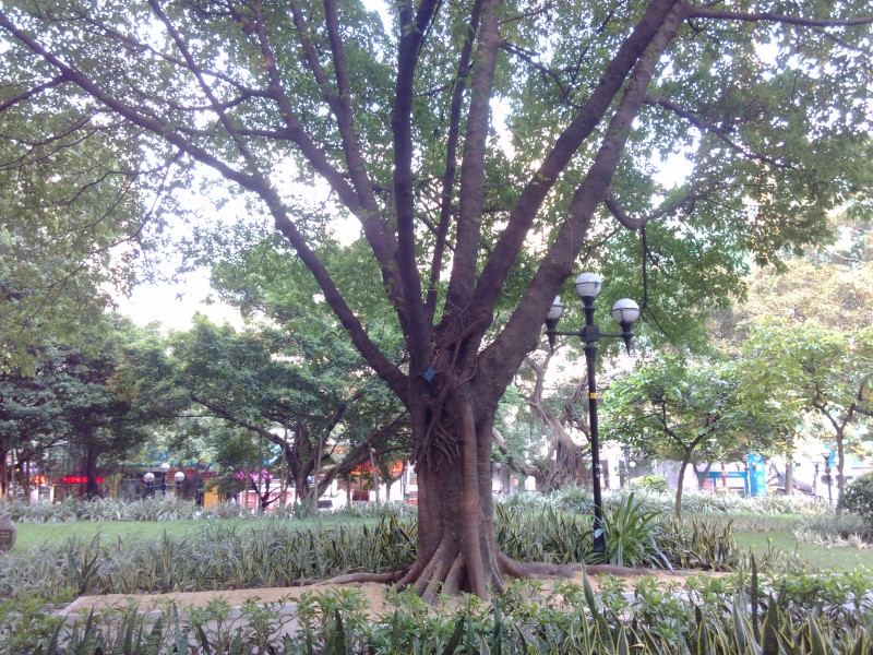 IMG_20130705_173623.jpg