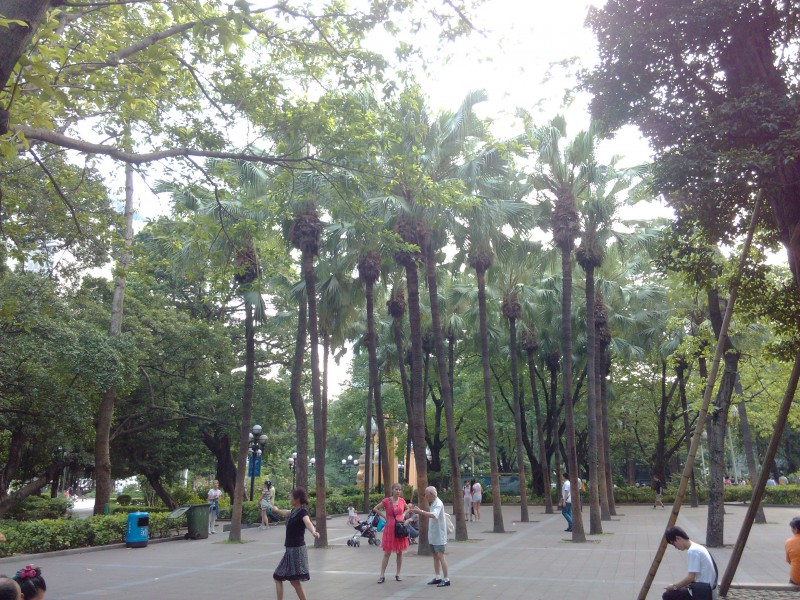 IMG_20130705_173754.jpg