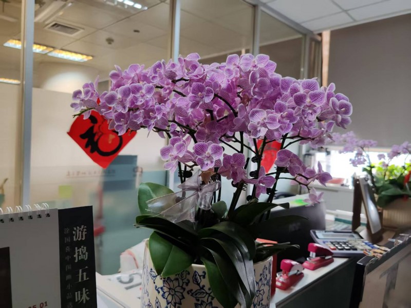 微信图片_20250213091528.jpg