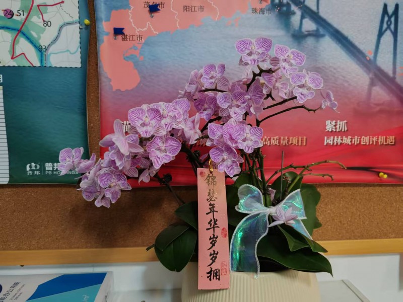 微信图片_20250213091520.jpg