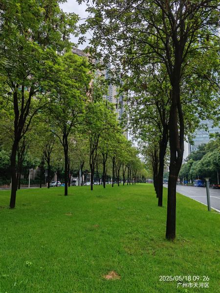 微信图片_20250522090855.jpg