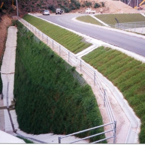什么是挡土墙绿化
